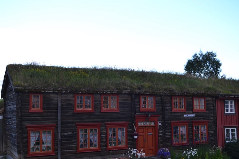 Grass roofed house Røros